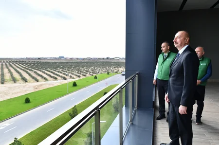 Prezident Zirədə zeytun emalı zavodunun açılışında iştirak edib - YENİLƏNİB