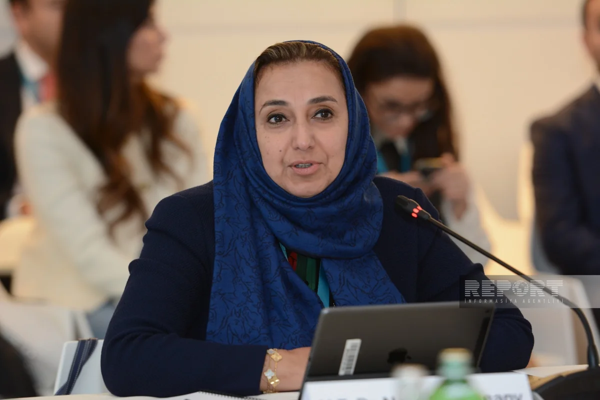 UNICEF nümayəndəsi: İqlim dəyişikliyi uşaqların öyrənmə qabiliyyətinə mənfi təsir göstərir