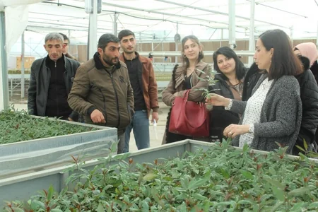Azərbaycanda toxumçuluq, şitilçilik və tingçilik üzrə mütəxəssislər hazırlanacaq