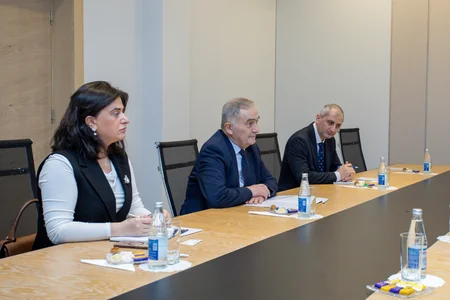 Азербайджан обсудил с ОЧЭС проекты возобновляемой энергетики