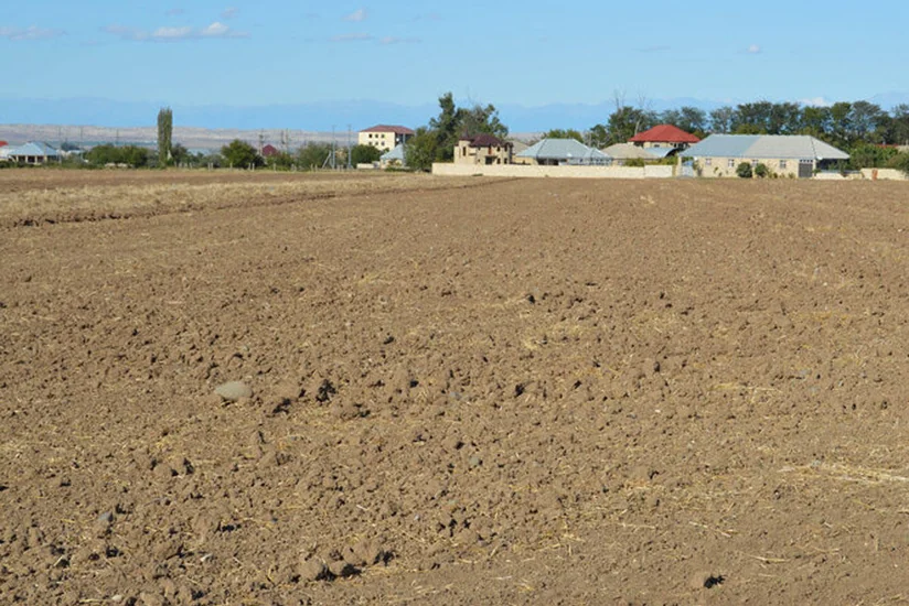 Bələdiyyələrin qanunsuz satdığı torpaqlardan 8 217 hektarı geri qaytarılıb