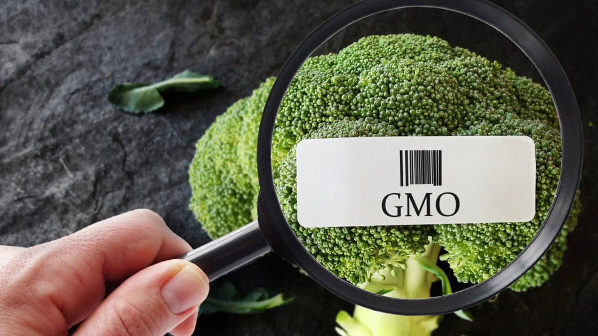 Azərbaycanda GMO-lu yem məhsullarına dair tələblər müəyyənləşib