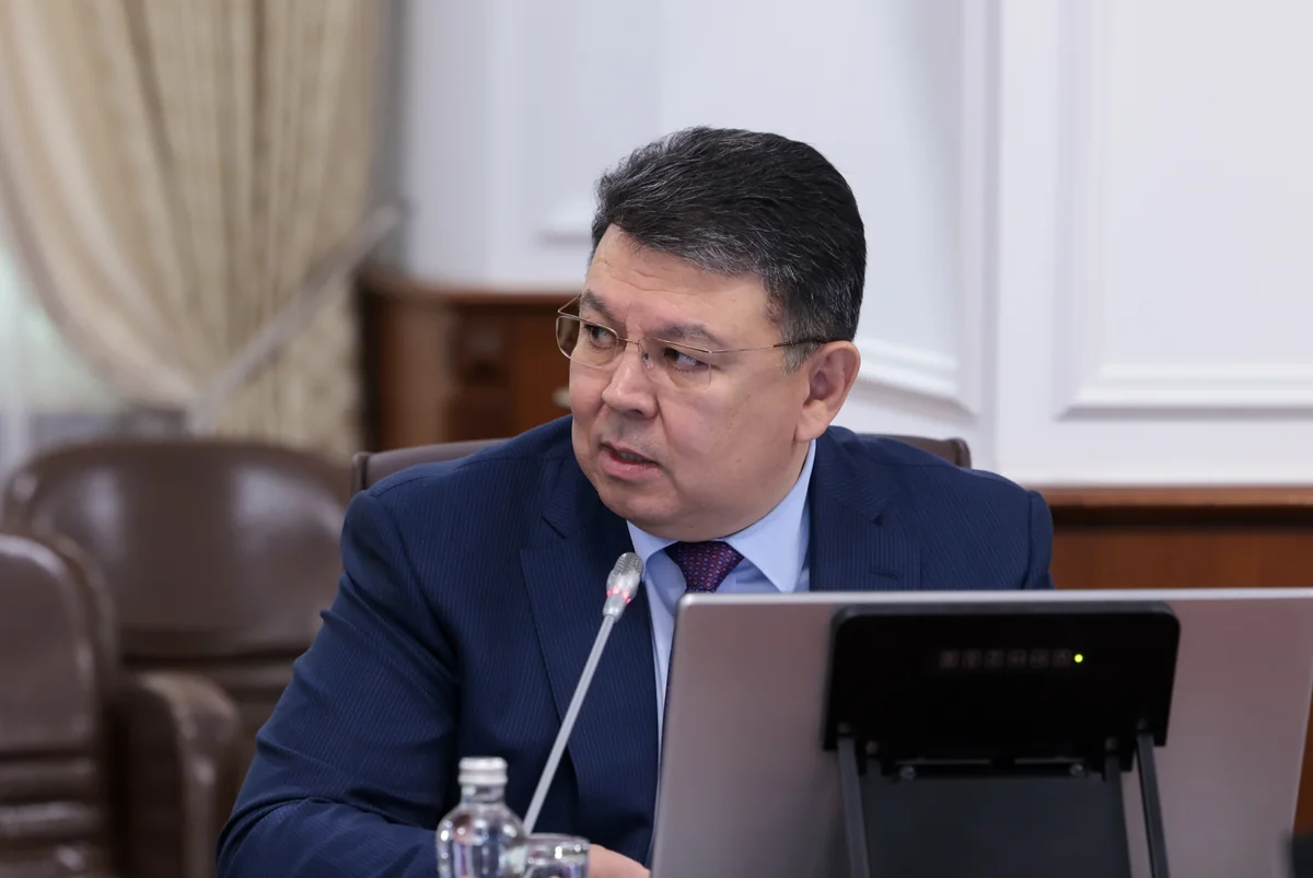 Kazakhstani Deputy PM: Commission's status for Aktau plane crash investigation raised