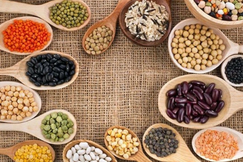 Azərbaycan Cənub-Şərqi Anadoludan dənli və paxlalı bitkilərin idxalına çəkdiyi xərci 42 % artırıb