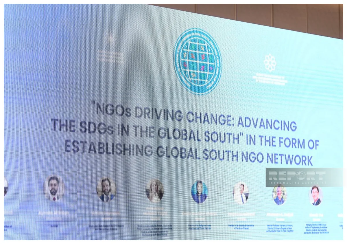 Odile de Comarmond: Seychelles has effective NGO platform