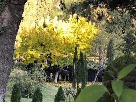 Число задержанных в ходе разгона митинга оппозиции в Тбилиси возросло до 37 - ОБНОВЛЯЕТСЯ