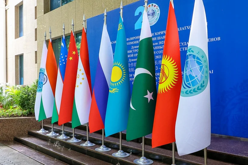 ŞƏT-lə əməkdaşlığın genişlənməsi Azərbaycana sabit bazarların qazanılmasına böyük töhfə verə bilər - RƏY