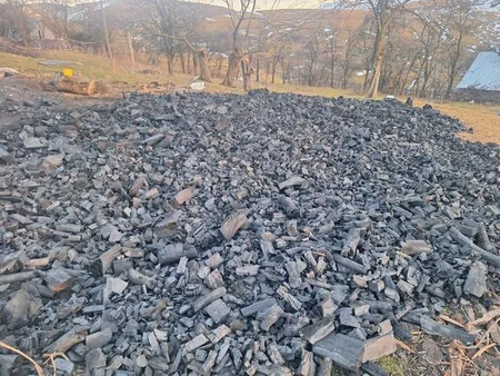 В Дашкесане пресечено незаконное производство угля