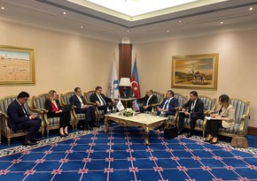 Пярвиз Шахбазов: На Шахдениз до сих пор добыто около 160 млрд кубометров газа