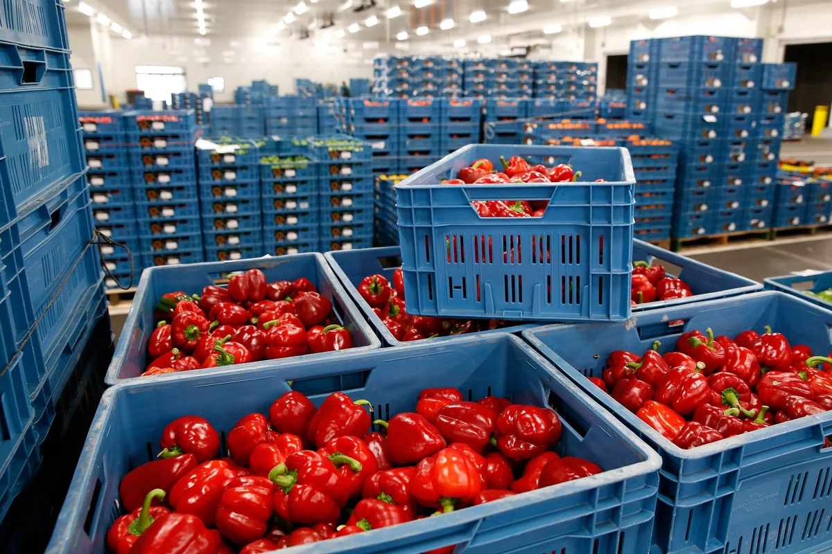 Russia Extends Food Embargo to Five European Countries