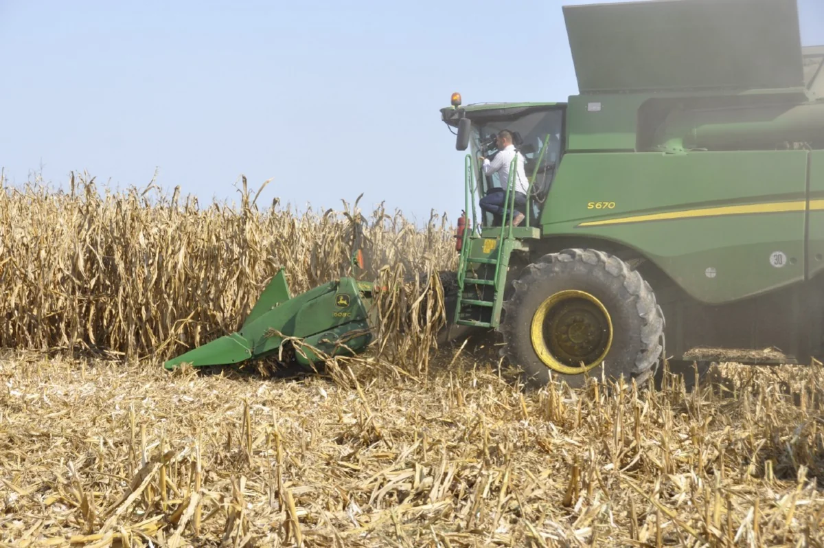 Поставки зерна из Казахстана в Азербайджан выросли в шесть раз