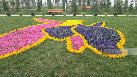 Strateji əhəmiyyətli Talış kəndinə həyat qayıdır - REPORTAJ