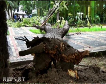 ​Gəncəyə yağan güclü leysan ciddi fəsadlar törədib - FOTO