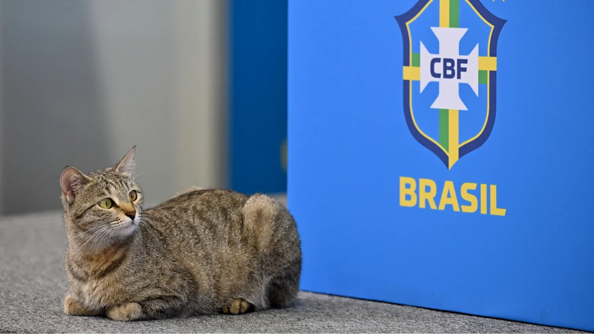 Braziliya Futbol Konfederasiyası pişiyə görə məhkəməyə verilib