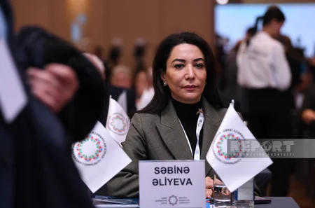 Bakıda Qərbi Azərbaycana qayıdışla bağlı beynəlxalq konfransın ilk günü başa çatıb - YENİLƏNİB