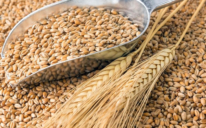 Wheat prices hit 5-month high