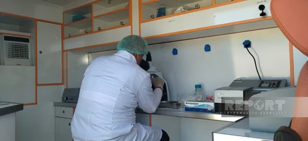 AQTA Şuşa, Füzuli, Ağdərə və Zəngilanda müasir ət kəsimi çadırları quraşdırıb