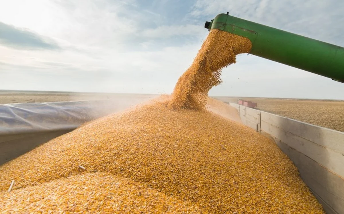 Kalin speaks about possibility of extending grain deal