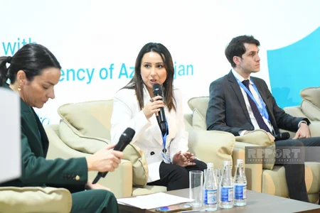 COP29-da turizmdə iqlim fəaliyyətinin gücləndirilməsi istiqamətində tədbir keçirilib
