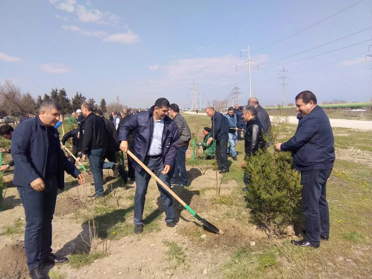 “Azəriqaz” və “Azərikimya” birgə iməcilik keçirib