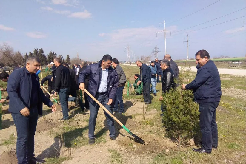 “Azəriqaz” və “Azərikimya” birgə iməcilik keçirib