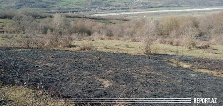 Qubada kol-kos və örüş sahəsi yanıb - FOTO