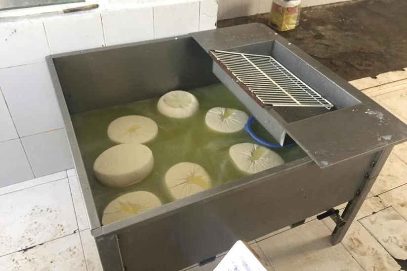 Masallıda qanunsuz pendir sexi aşkarlanıb - FOTO