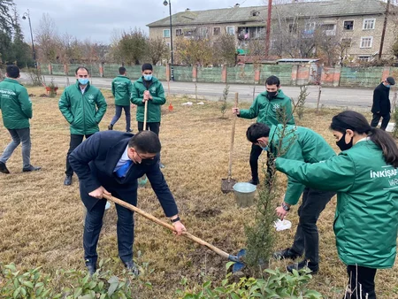 Kürdəmirdə şəhidlərin şərəfinə şam ağacları əkilib