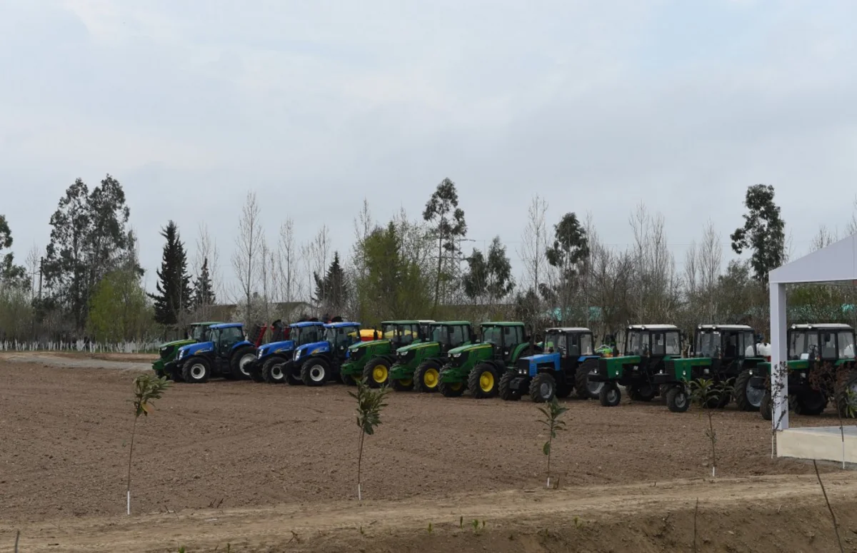 President Ilham Aliyev visited cotton plantation in Giragli village