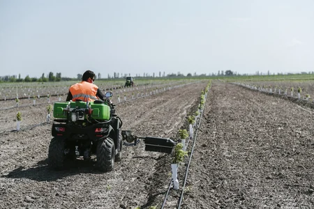 Azərbaycanda Ağıllı bağda günəş panellərindən istifadə edilir