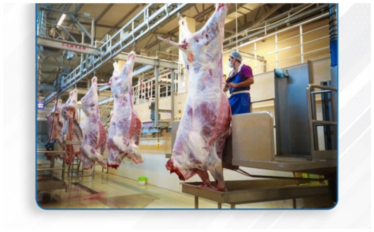 Qurbanlıq heyvanların satışı və kəsimi xidmətləri göstəriləcək ünvanlar açıqlanıb