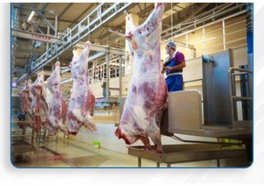 Qurbanlıq heyvanların satışı və kəsimi xidmətləri göstəriləcək ünvanlar açıqlanıb