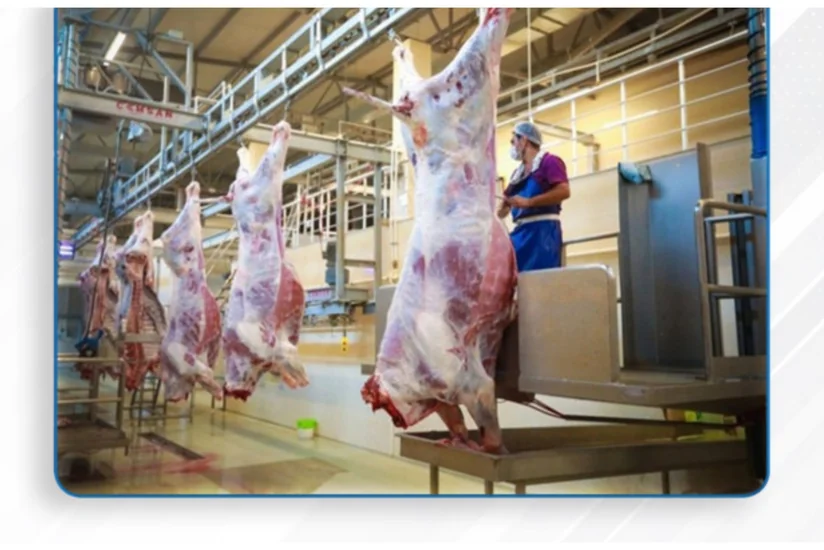 Qurbanlıq heyvanların satışı və kəsimi xidmətləri göstəriləcək ünvanlar açıqlanıb