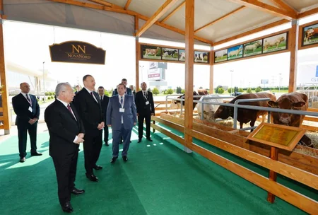 Prezident İlham Əliyev Beynəlxalq qida sənayesi və kənd təsərrüfatı sərgiləri ilə tanış olub