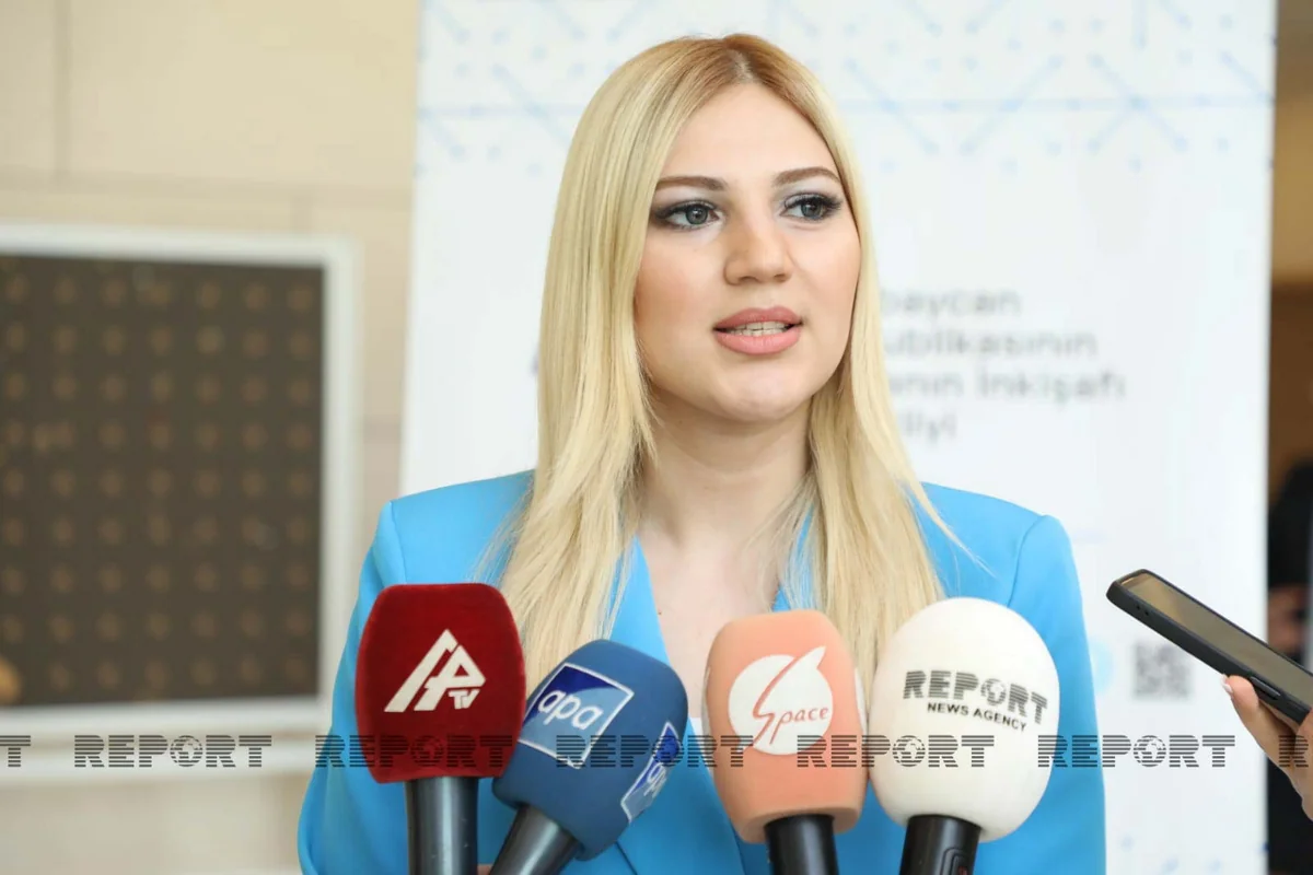 Media reyesterinin aparılması qaydalarının ilkin layihəsi hazırlanıb