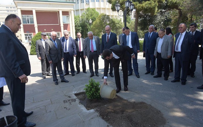 ​Tibb Universitetində iməcilik keçirilib