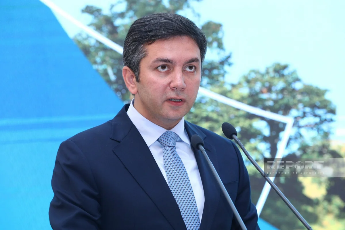 Yalçın Rəfiyev: COP29-da tərəflər NCQG üzrə qarşılıqlı fəaliyyətə başlayırlar