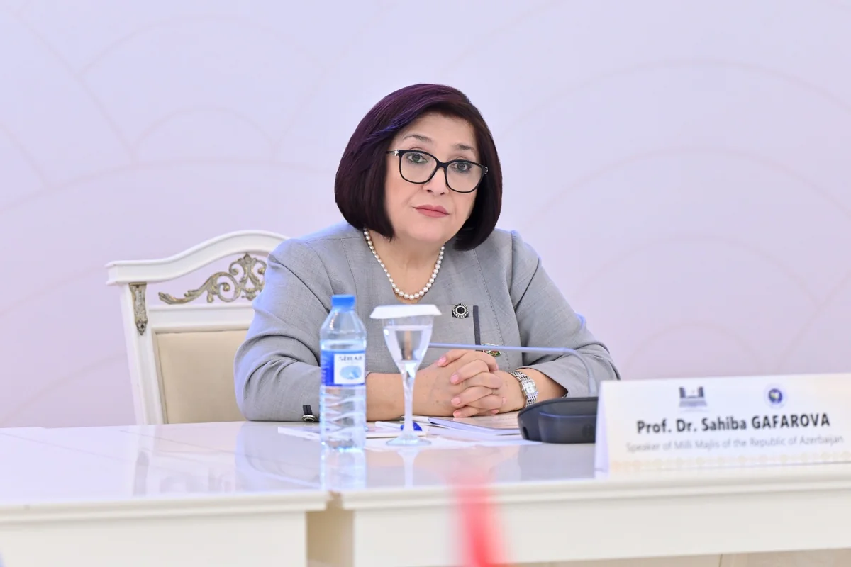 Sahibə Qafarova beynəlxalq konfransın iştirakçılarını Qarabağdakı antiterror tədbirləri barədə məlumatlandırıb