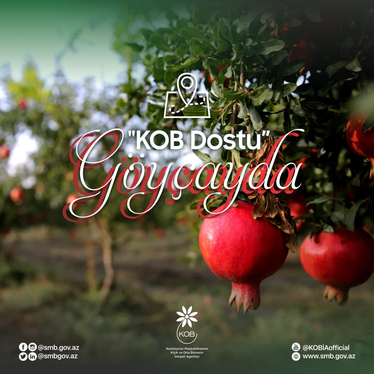 Göyçayda KOB Dostu fəaliyyətə başlayıb