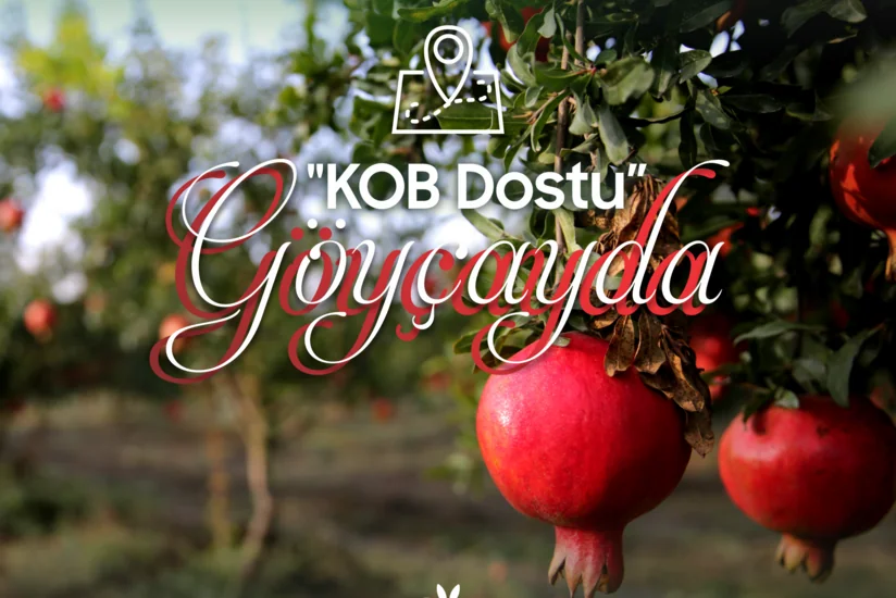 Göyçayda KOB Dostu fəaliyyətə başlayıb