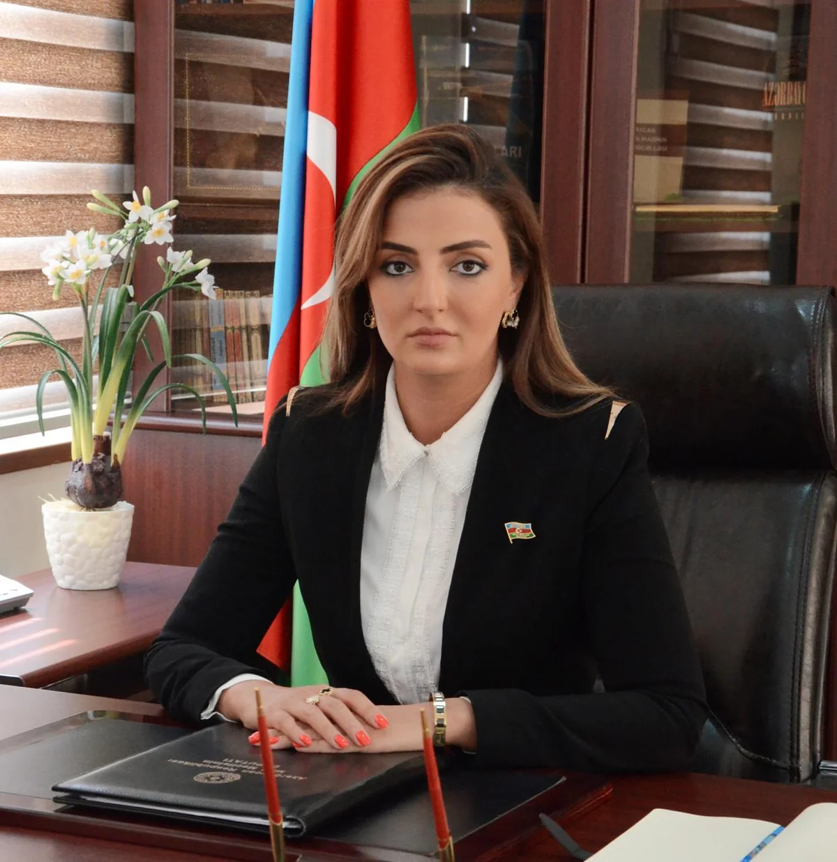 Könül Nurullayeva: “Ermənistanın ön cəbhəyə çıxarmağa resursu yoxdur”