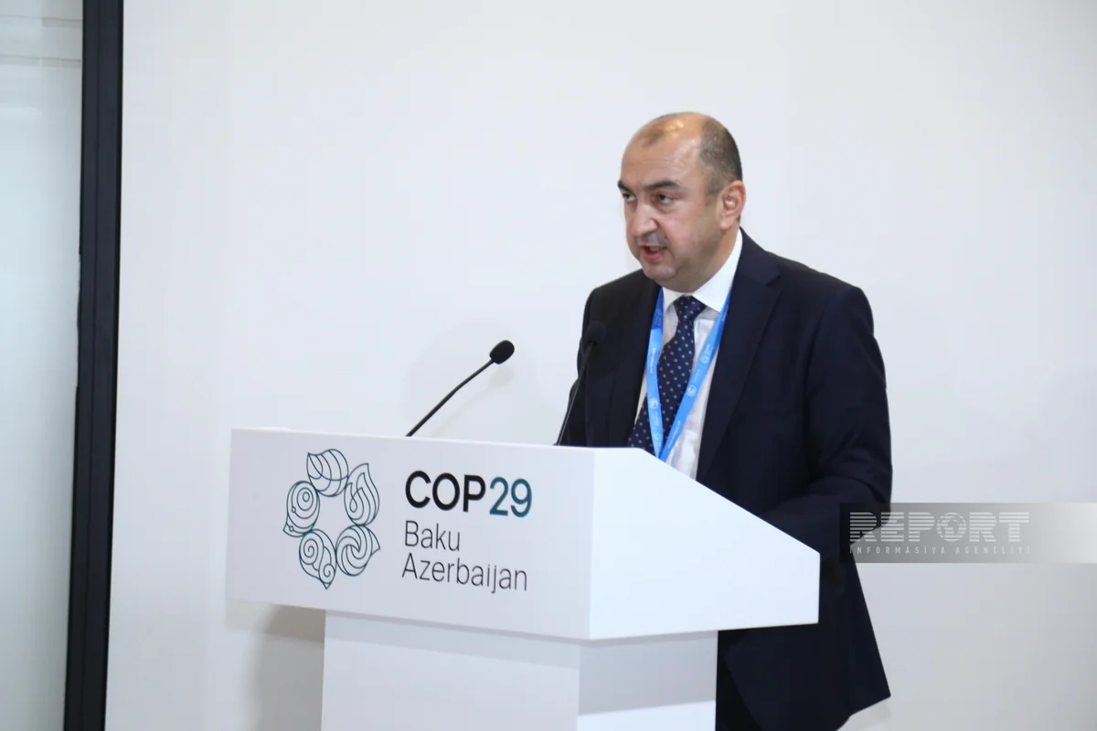 Nazir müavini: Biomüxtəlifliyin azalması birbaşa iqlim dəyişikliyi ilə bağlıdır