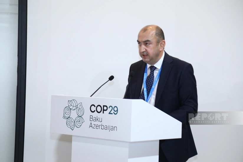 Nazir müavini: Biomüxtəlifliyin azalması birbaşa iqlim dəyişikliyi ilə bağlıdır