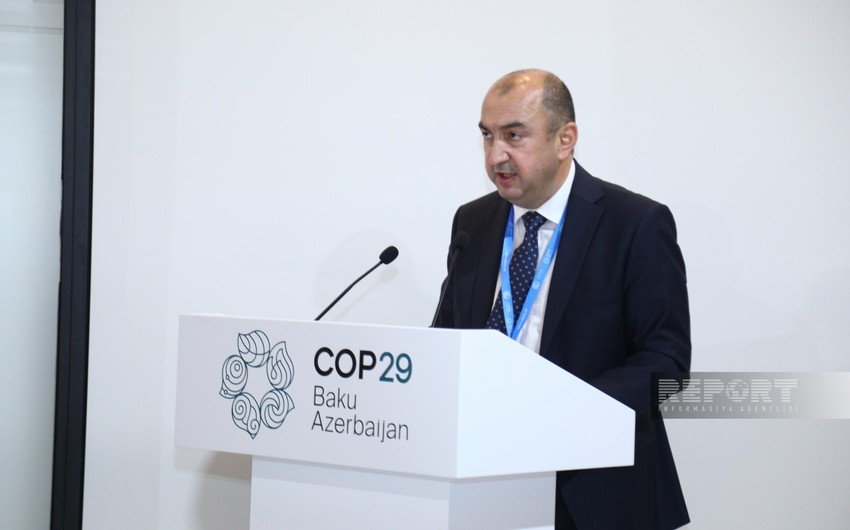 Nazir müavini: Biomüxtəlifliyin azalması birbaşa iqlim dəyişikliyi ilə bağlıdır