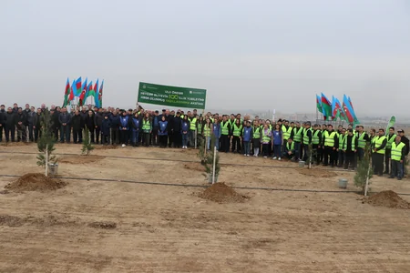 Heydər Əliyevin 100 illik yubileyi ilə əlaqədar növbəti ağacəkmə tədbiri keçirilib