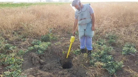 ​ANAMA: 3467 ədəd partlamamış hərbi sursat, 15 ədəd piyada əleyhinə mina zərərsizləşdirilib - FOTO