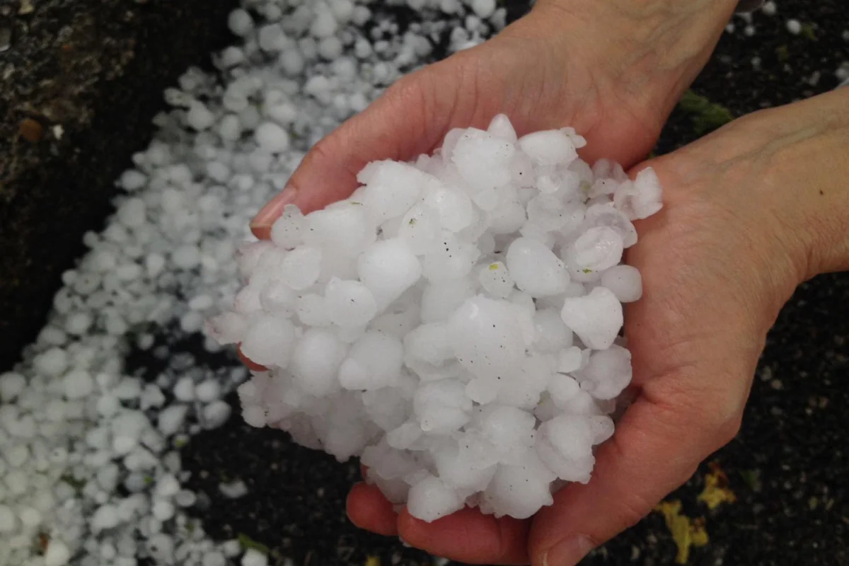 Goranboyun dağ kəndlərinə güclü dolu yağıb, təsərrüfata zərər dəyib