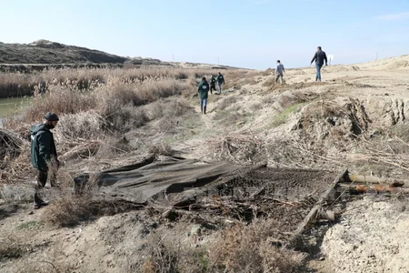 Salyanda qanunsuz balıq ovlayanlara qarşı reyd keçirilib - YENİLƏNİB