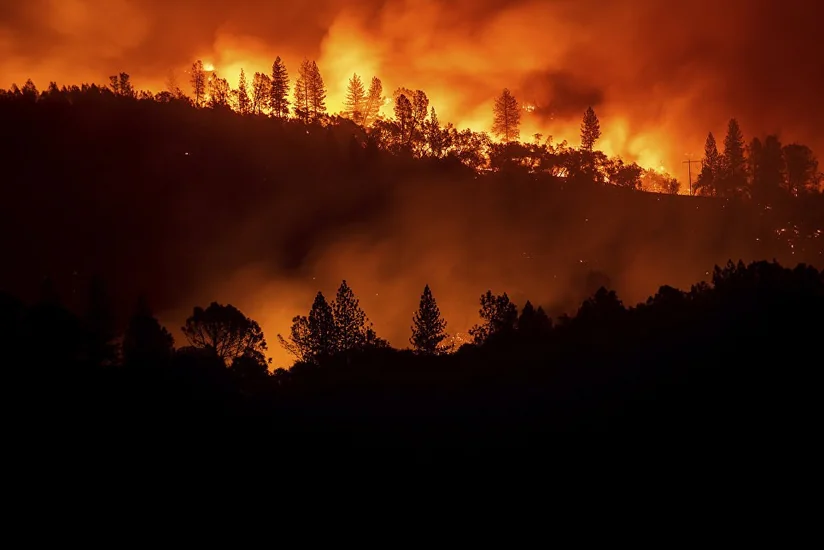 Число жертв пожаров в Калифорнии увеличилось до 71 человека