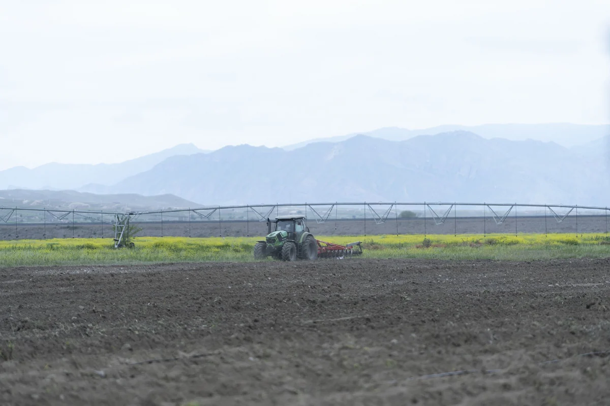 Xocalının iki kəndində əkin üçün müraciətlərin qəbuluna başlanılır